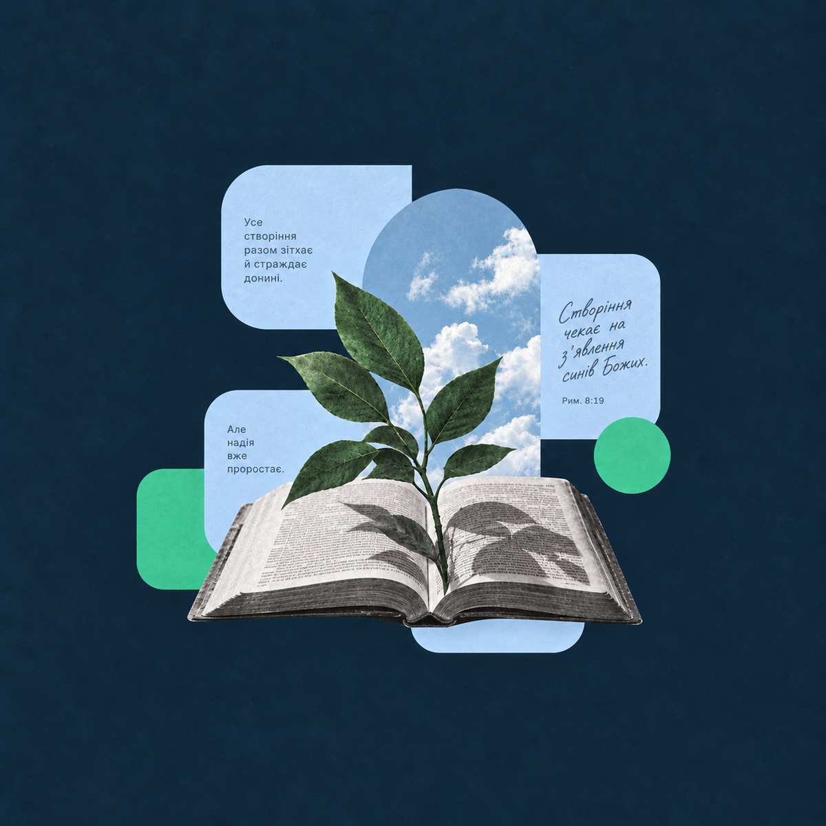 Екобогослов’я протестантів України